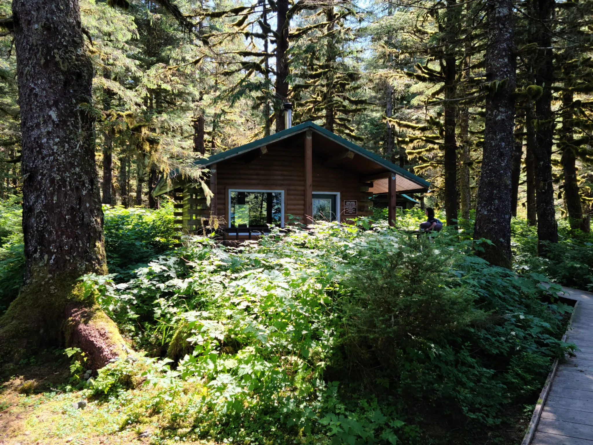 A public-use cabin tucked into old-growth spruce on a forest boardwalk in Southeast Alaska