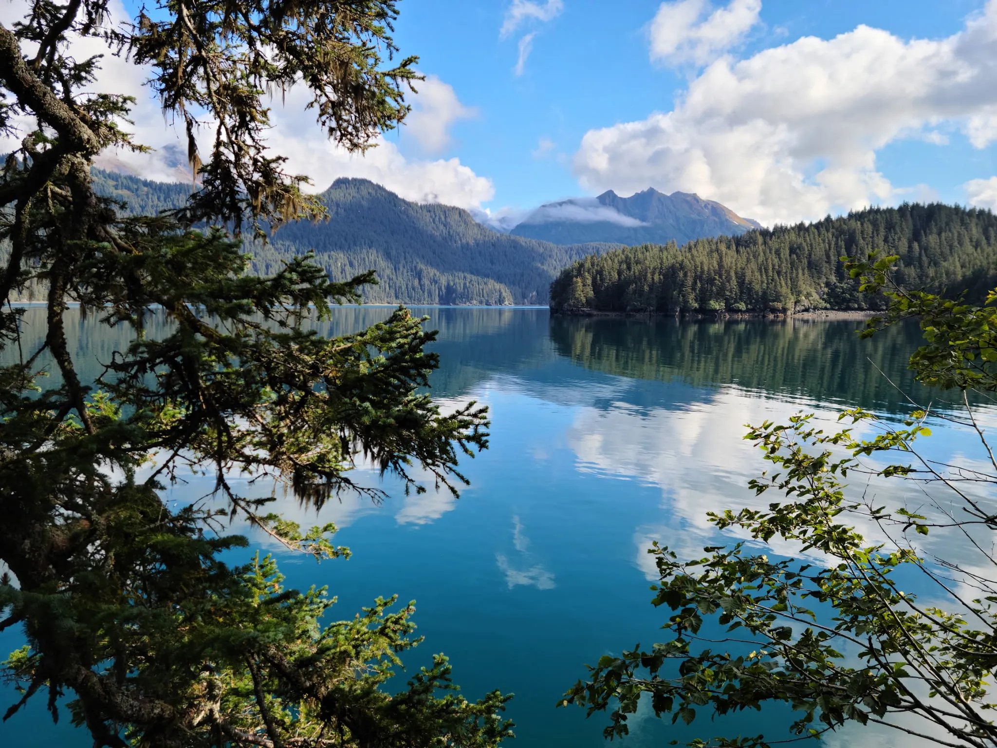 A mirror-calm fjord reflecting spruce ridgelines and clouds